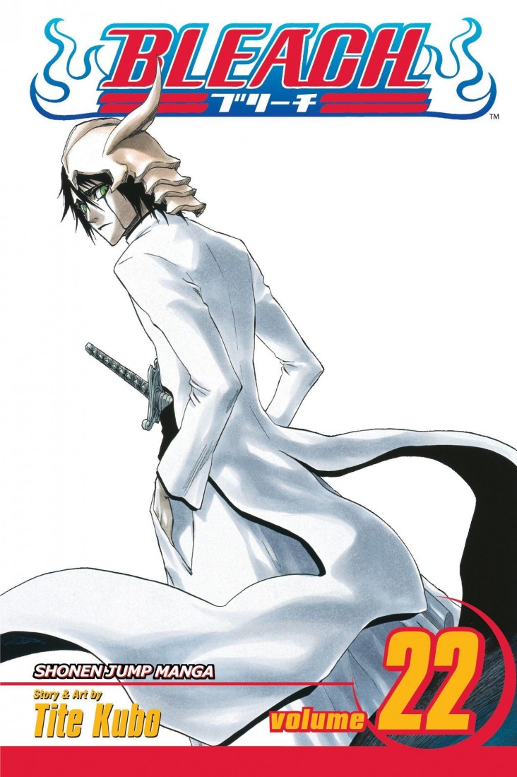BLEACH 22 PA