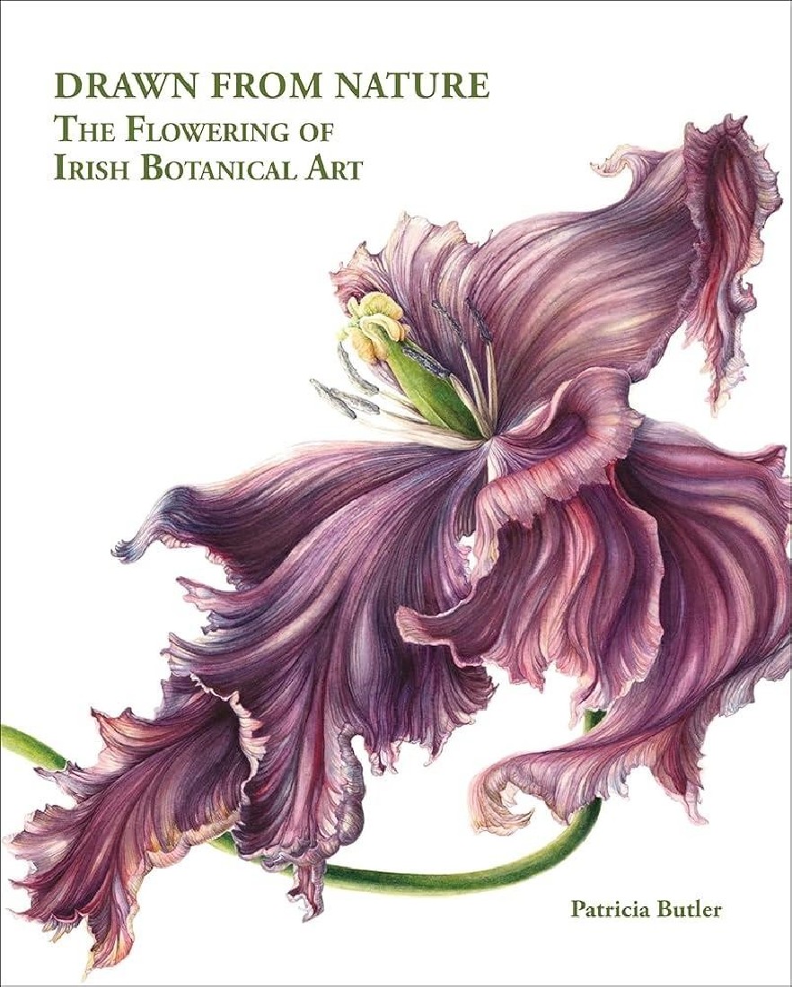 DRAWN FROM NATURE : THE FLOWERING OF IRISH BOTANICAL ART