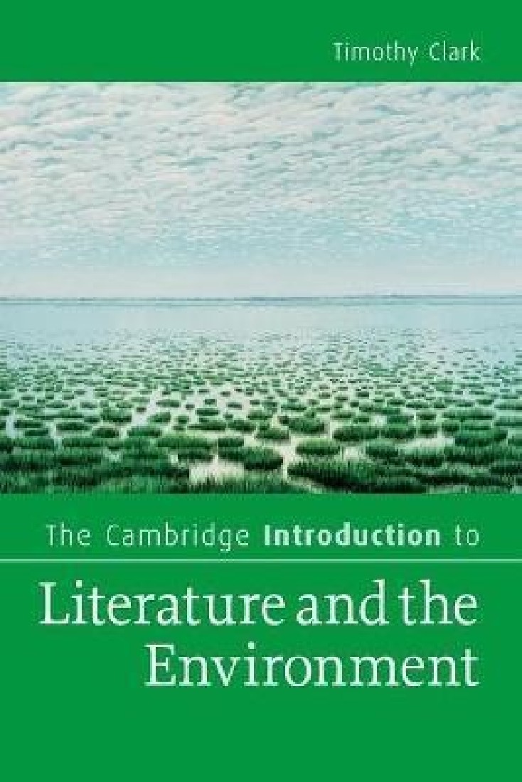 THE CAMBRIDGE INTRODUCTION TO LITERATURE
