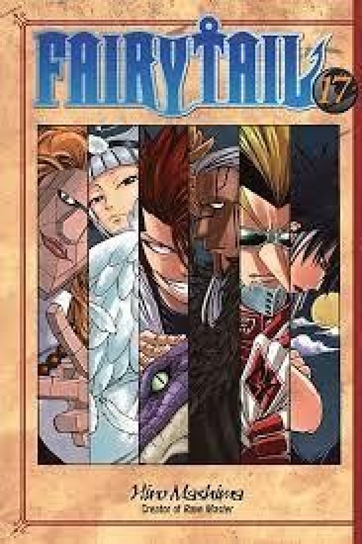 FAIRY TAIL 17