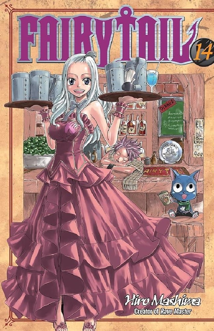 FAIRY TAIL GN VOL 14
