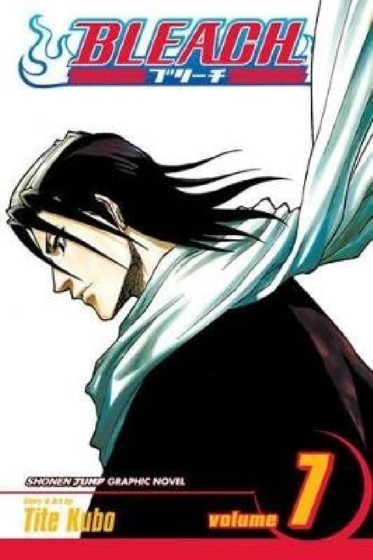 BLEACH 07 PA