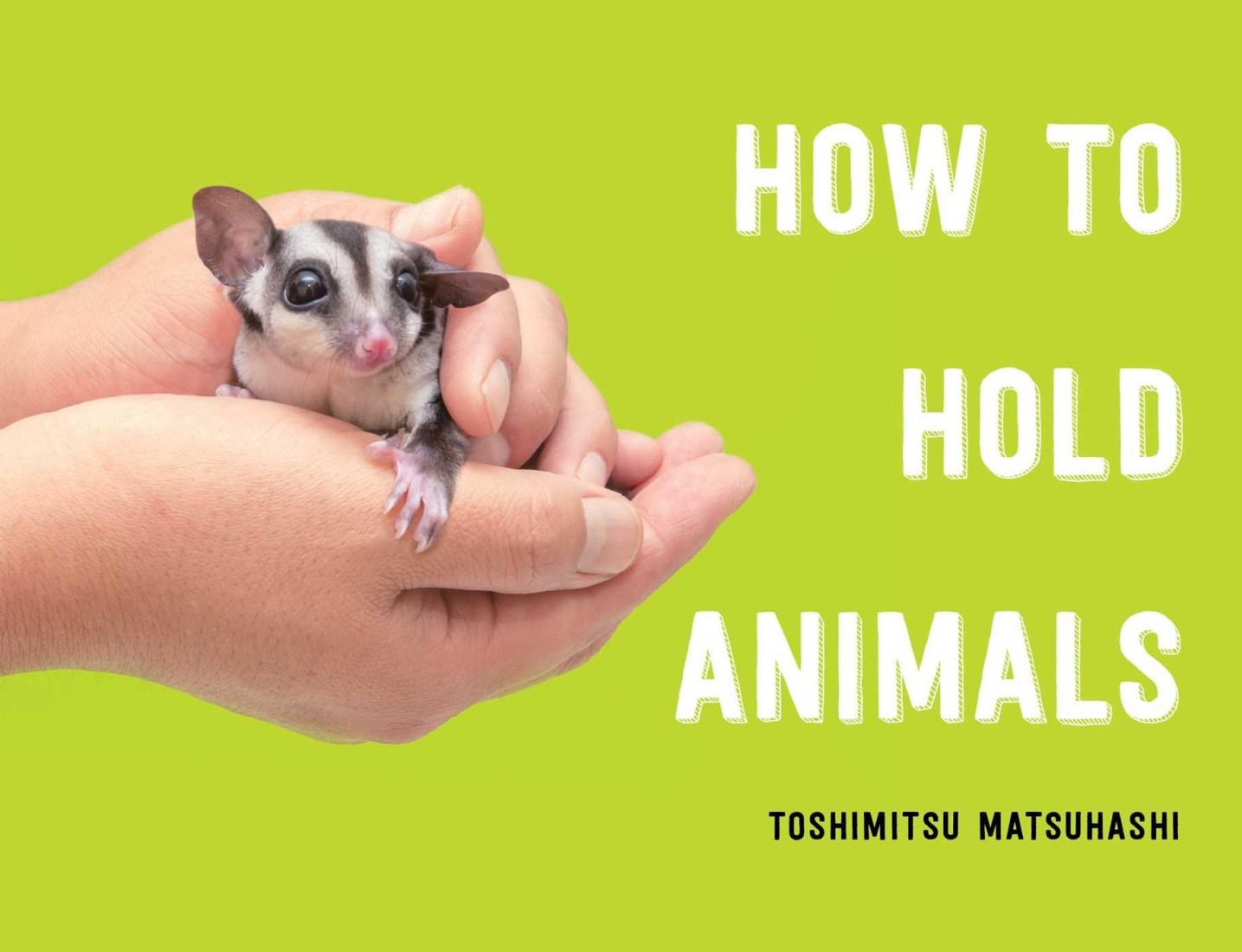 HOW TO HOLD ANIMALS