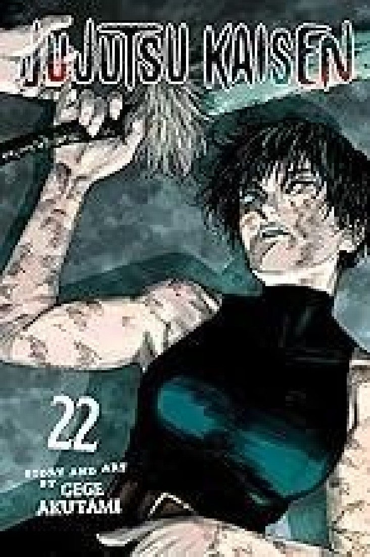 JUJUTSU KAISEN, VOL. 22