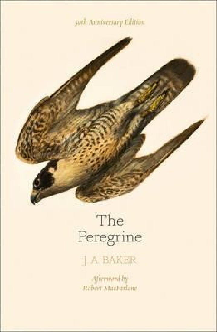 THE PEREGRINE HC