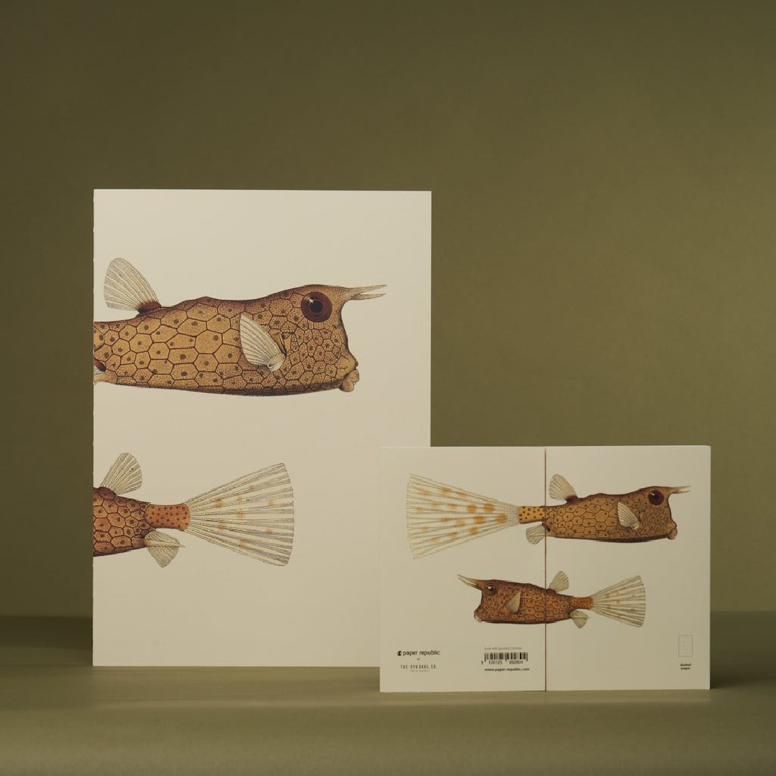 Paper Republic pocket 9,5x14cm book dotted refill x The Dybdahl Co. The Little Longhorn Cowfish (Ostracion Cornutus).