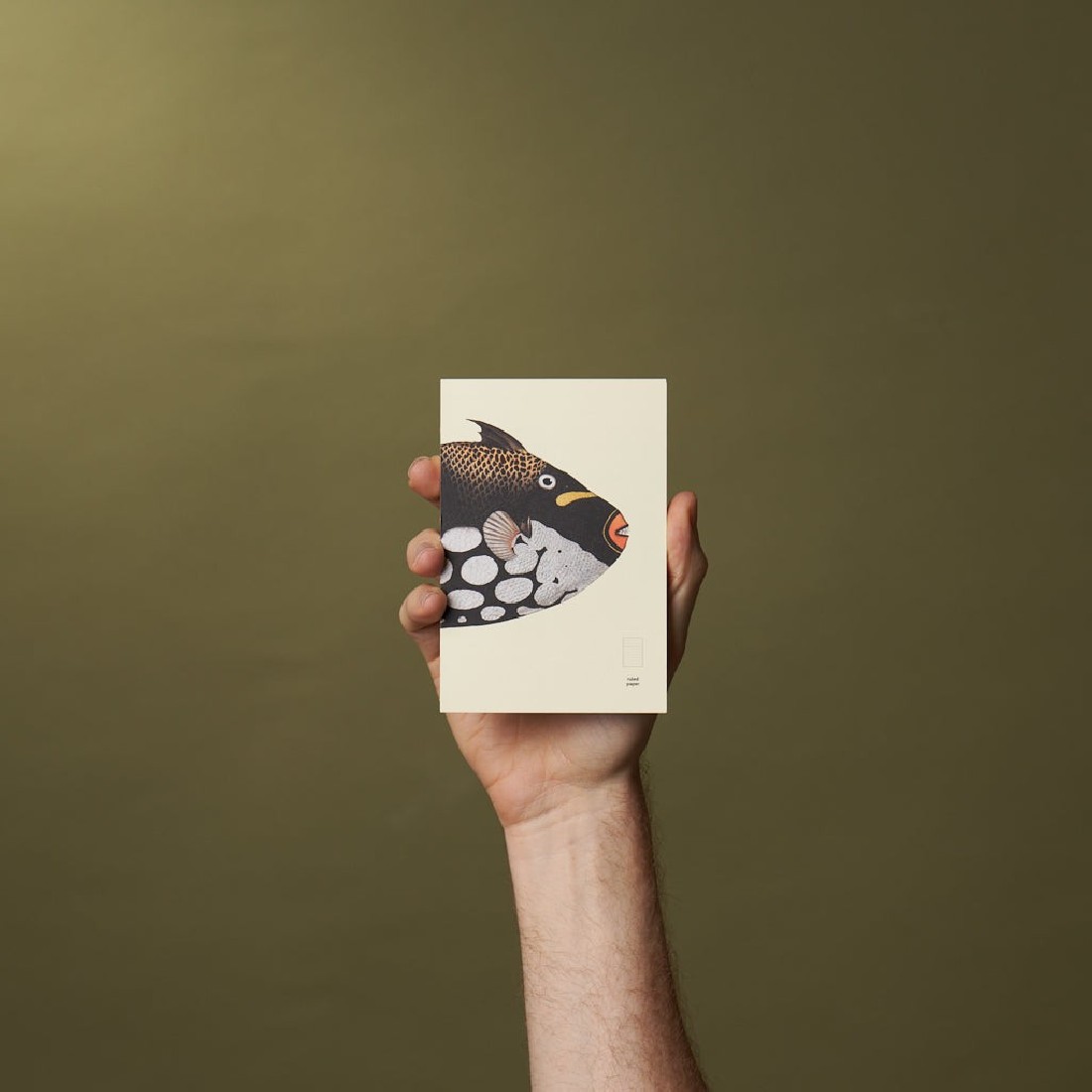 Paper Republic pocket 9,5x14cm book ruled refill x The Dybdahl Co. The Clown Triggerfish (Balistoides conspicillum)