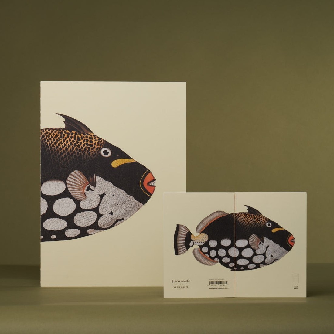 Paper Republic pocket 9,5x14cm book ruled refill x The Dybdahl Co. The Clown Triggerfish (Balistoides conspicillum)
