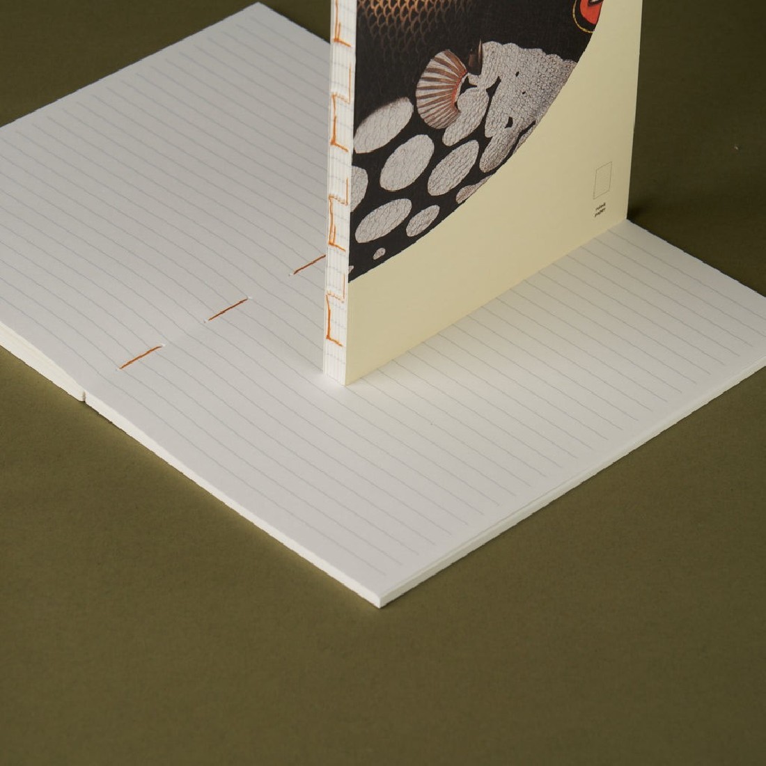 Paper Republic pocket 9,5x14cm book ruled refill x The Dybdahl Co. The Clown Triggerfish (Balistoides conspicillum)