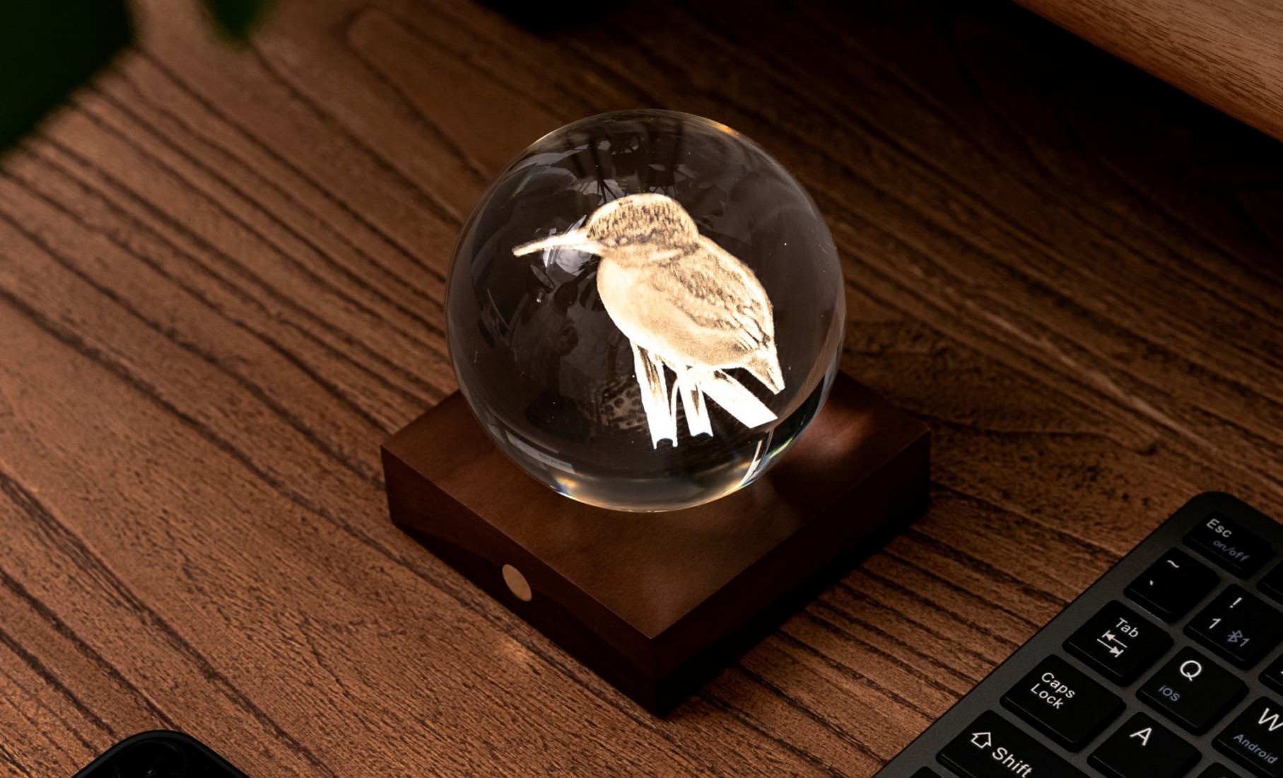 Gingko Amber Crystal Light 3D Laser King Fisher G025KF