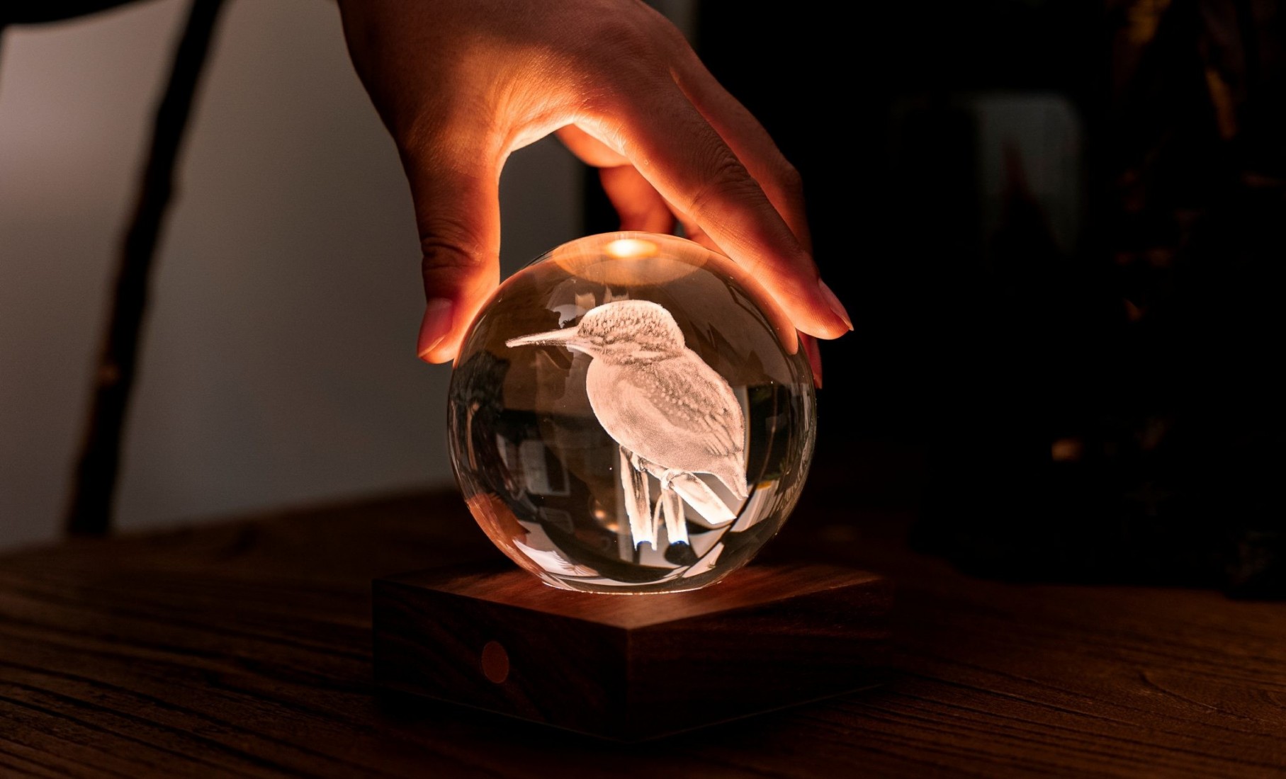 Gingko Amber Crystal Light 3D Laser King Fisher G025KF