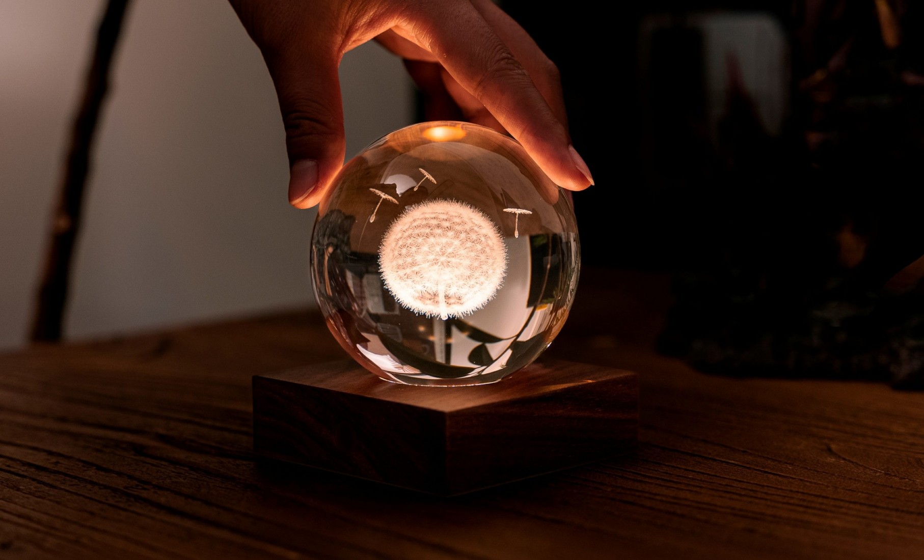 Gingko Amber Crystal Light 3D Laser Dandelion G025DL