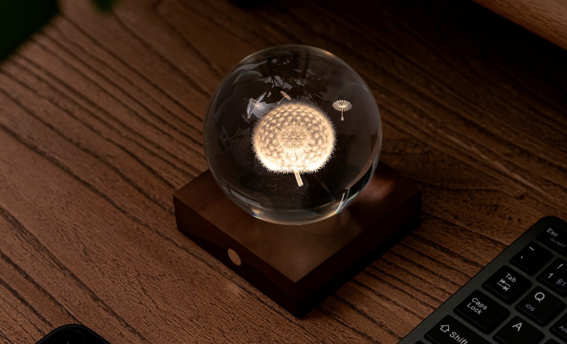 Gingko Amber Crystal Light 3D Laser Dandelion G025DL