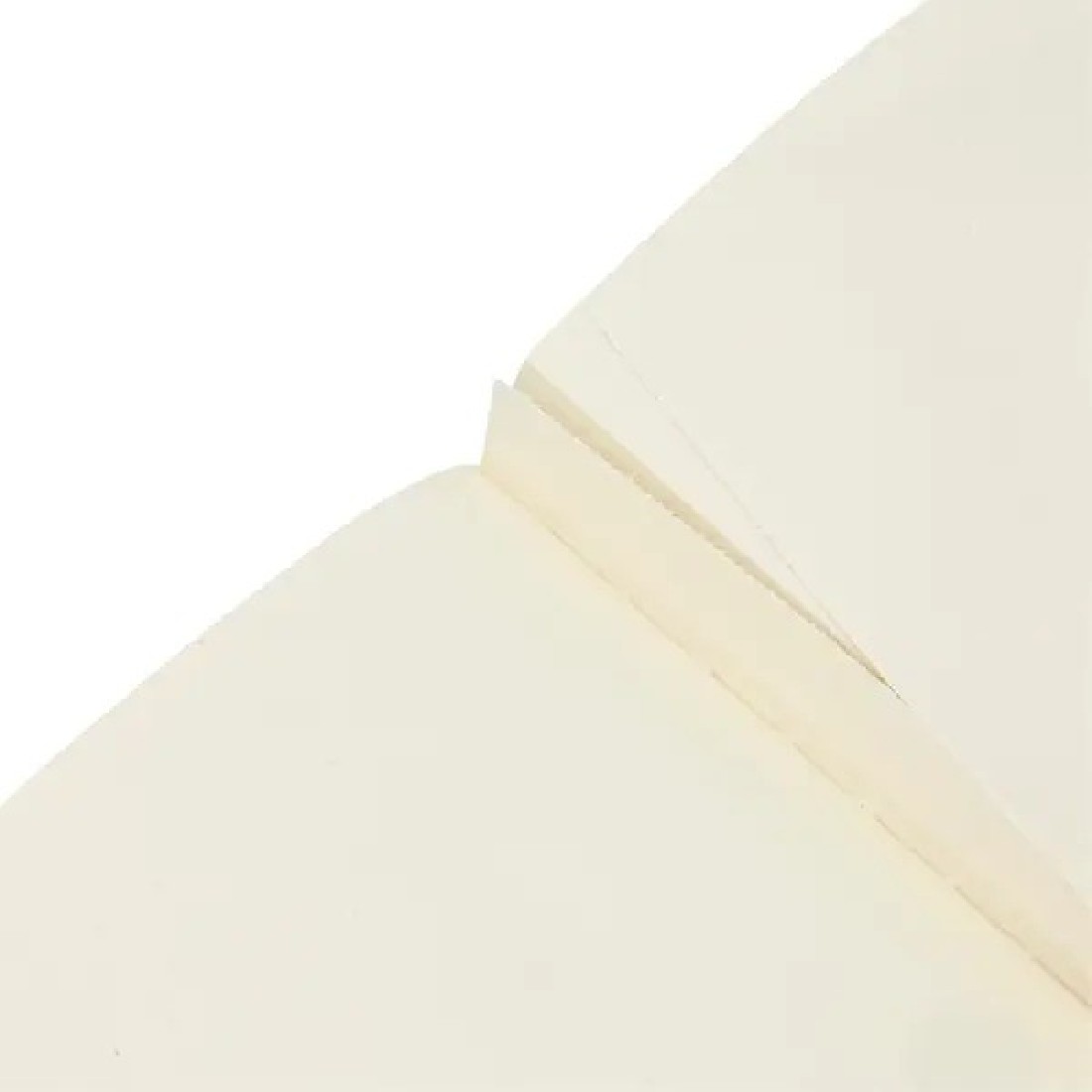 Paperblanks A6 Cahier, plain, Firebird, Birds of Happiness