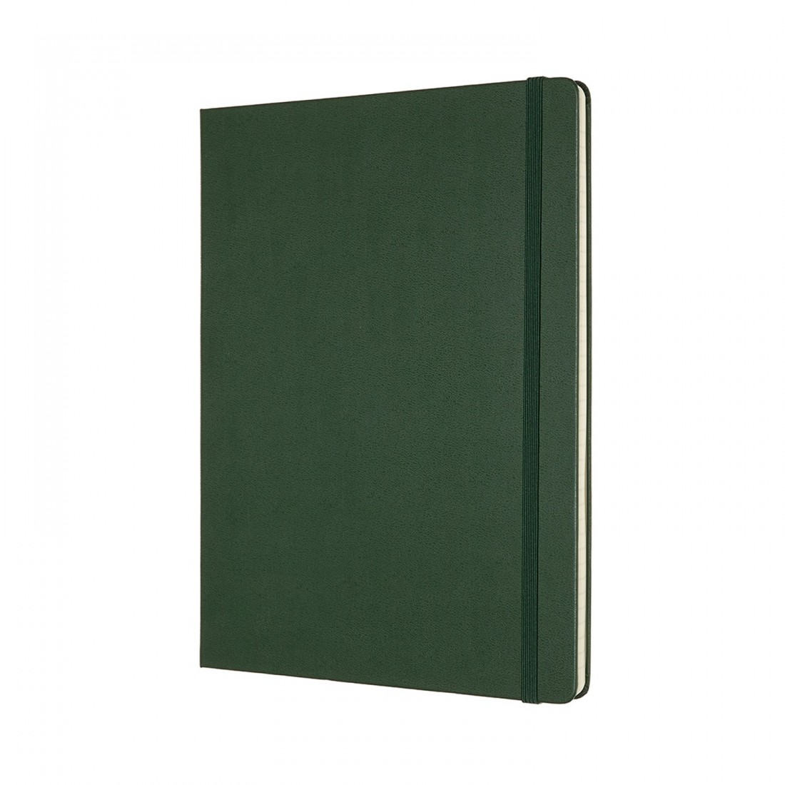 Notebook Extra Large 19x25 Ruled Myrtle Green Hard Cover Moleskine MM