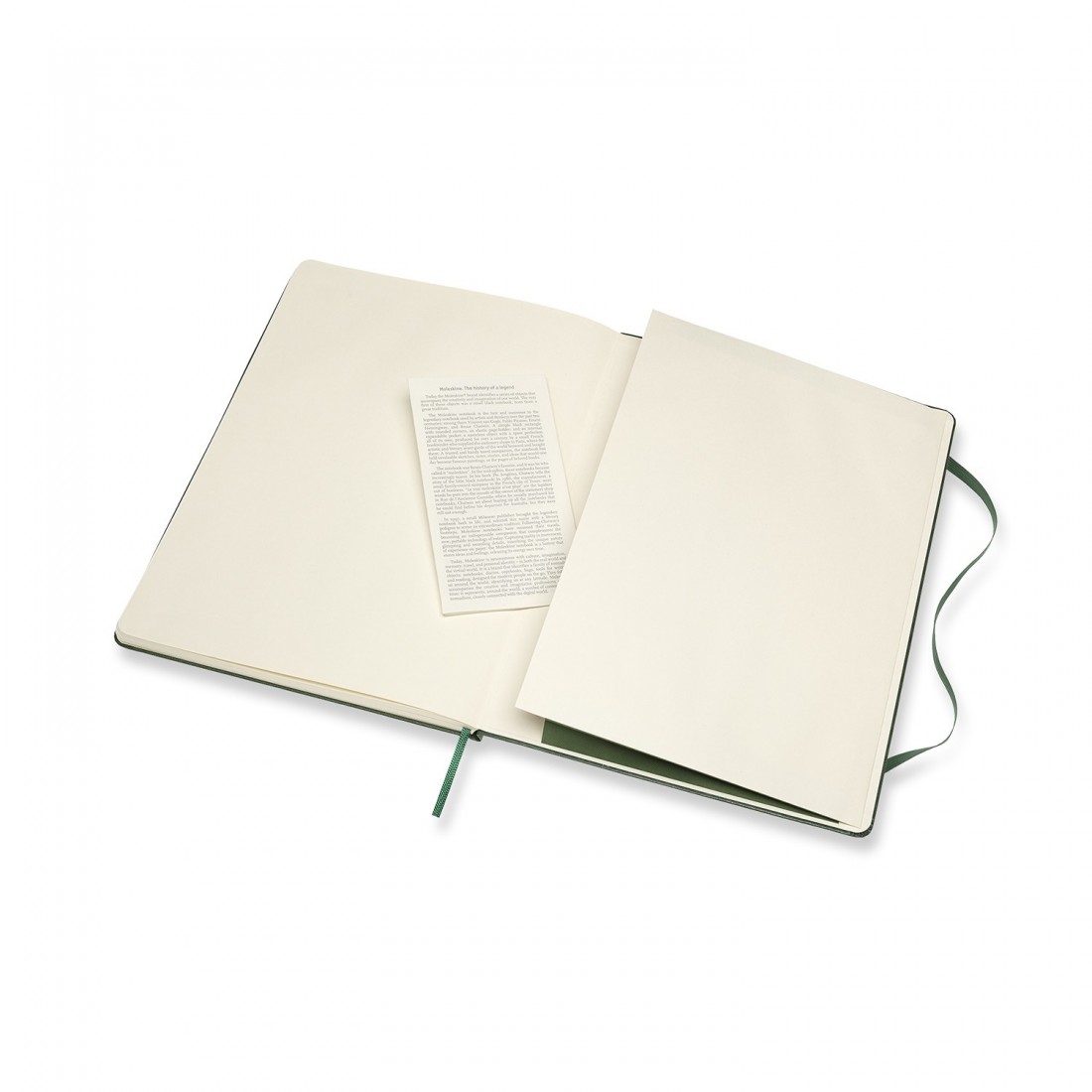 Notebook Extra Large 19x25 Ruled Myrtle Green Hard Cover Moleskine MM