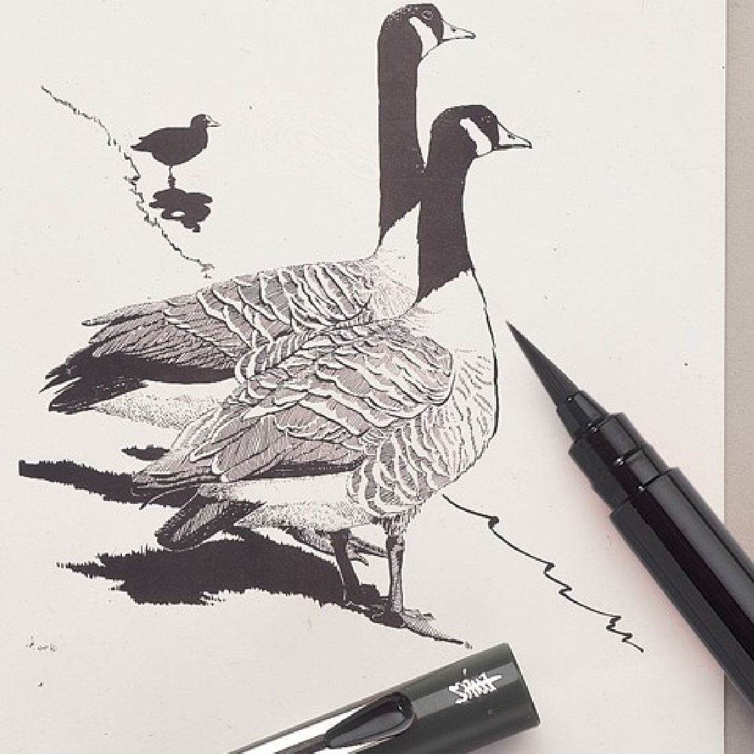 Black Brush Pen Chinese ink GFKp Pentel