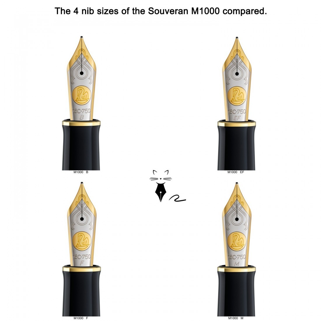 Pelikan Souveran M1000 Black  Fountain Pen