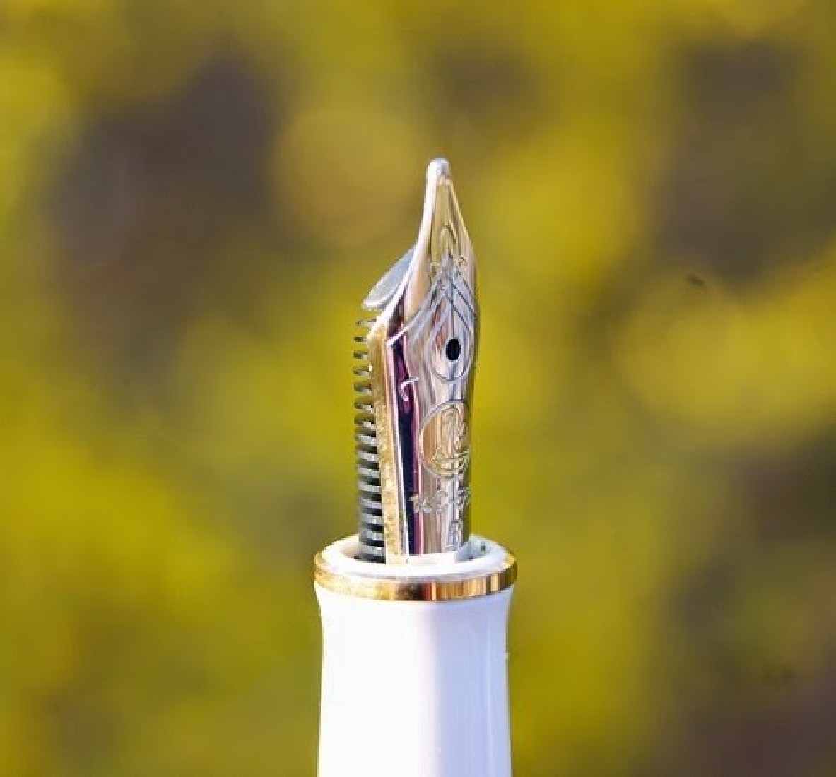 Pelikan Souveran M400 Tortoise White  Fountain Pen