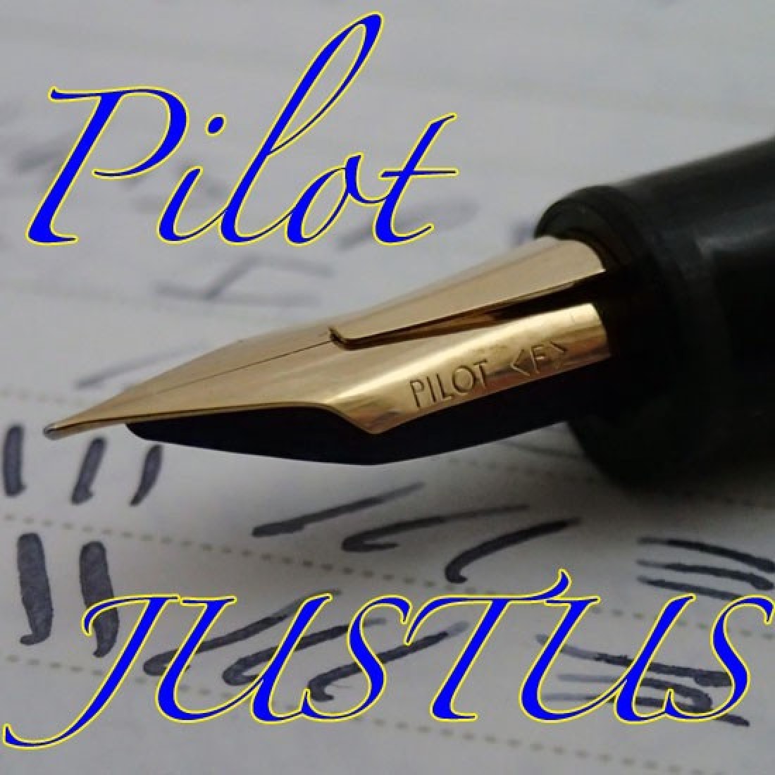 Pilot Justus 95 adjustable gold trim fountain pen