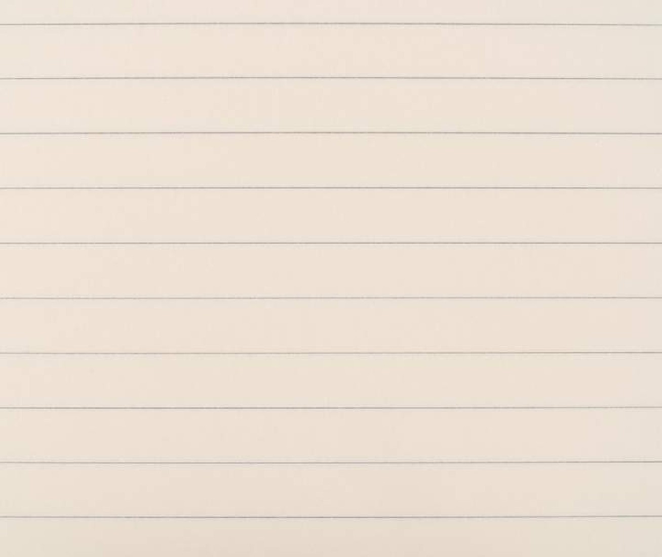 Paper Republic 2 x ruled notebooks A4