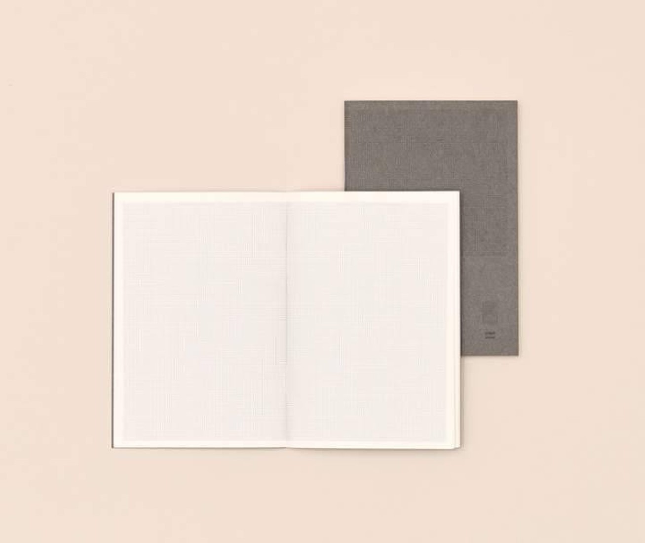 Paper Republic 2 x notebooks (pocket) graph