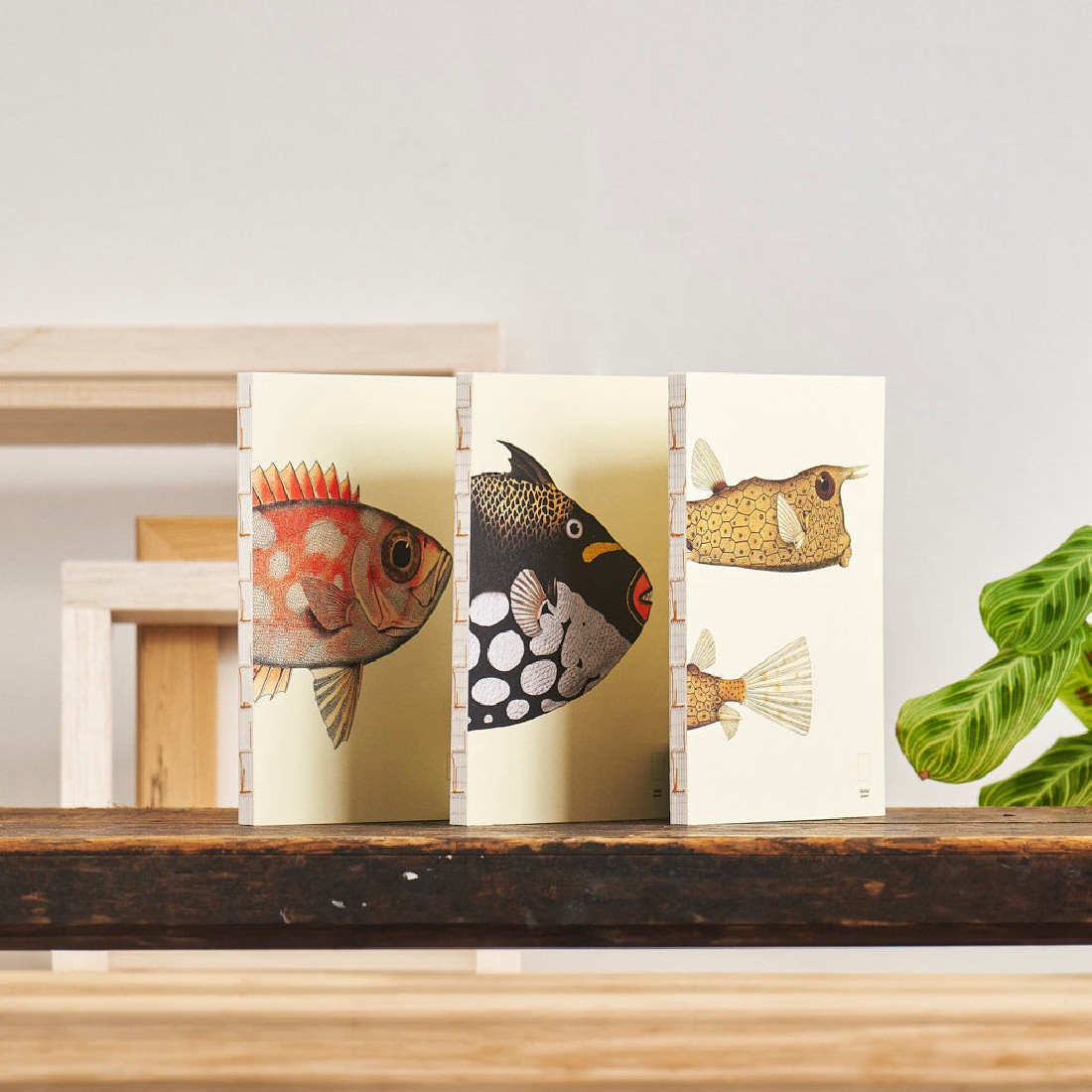 Paper Republic Reef Book Refill XL Dotted