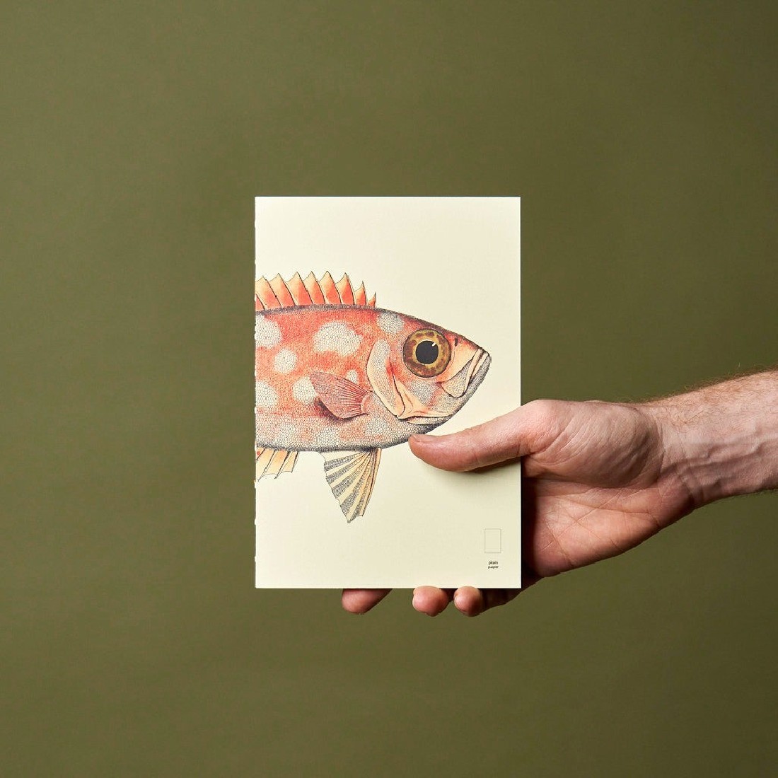 Paper Republic Reef Book Refill XL Plain.