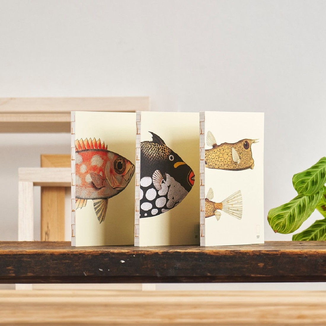 Paper Republic Reef Book Refill XL Plain.