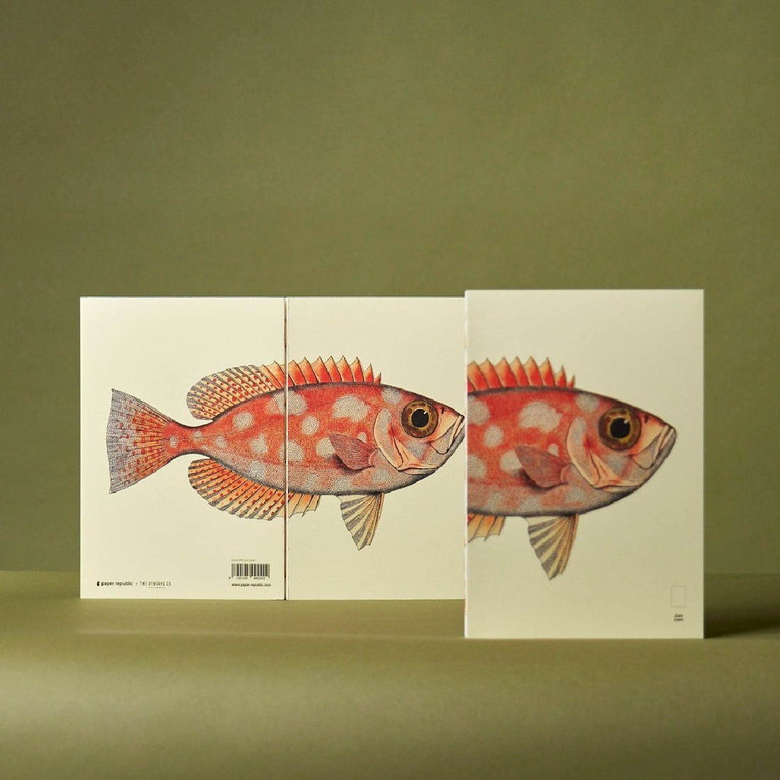 Paper Republic Reef Book Refill XL Plain.