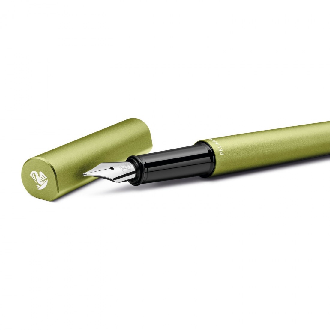 Pelikan Ineo Elements P6 aluminium fountain pen with metal case green oasis