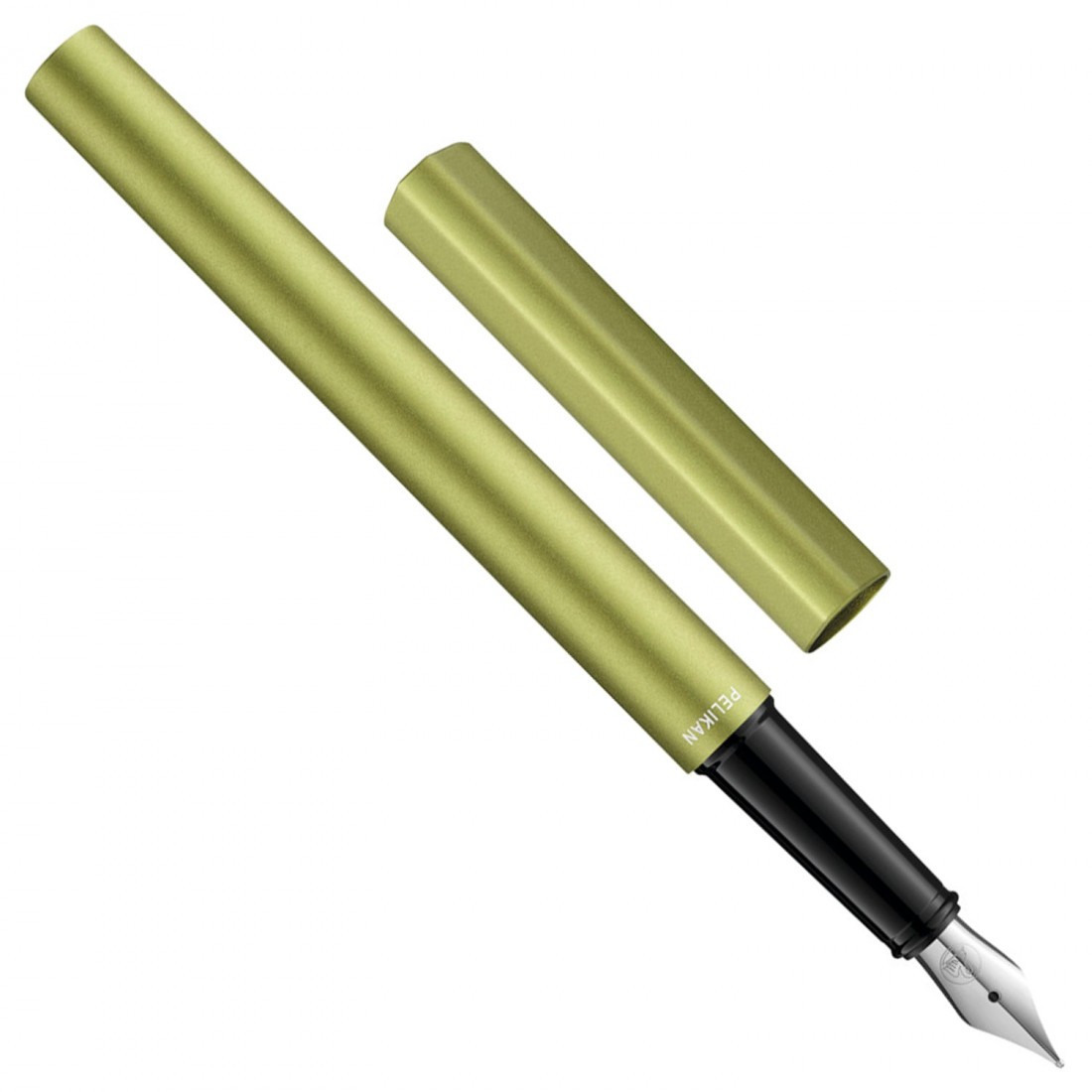 Pelikan Ineo Elements P6 aluminium fountain pen with metal case green oasis