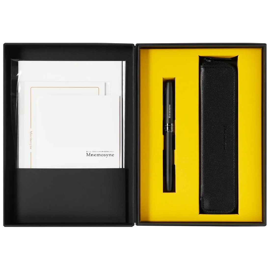 Mnemosyne Journal A5 and Fountain Pen Platinum Plaisir Set