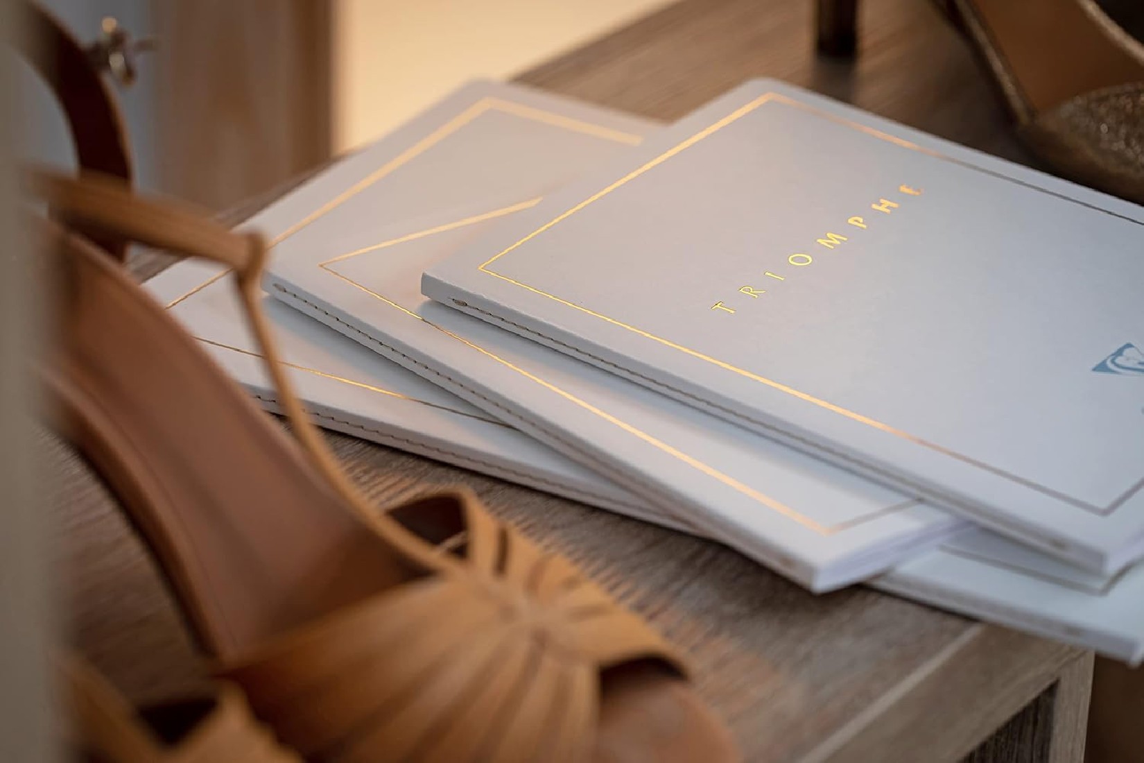 Clairefontaine Rhodia 36170C Triomphe GOLD Collection A White Stitched Notebook - A4 21x29.7 cm - 96 Plain White Pages - 90 g Paper - Card Cover with Gold Marking