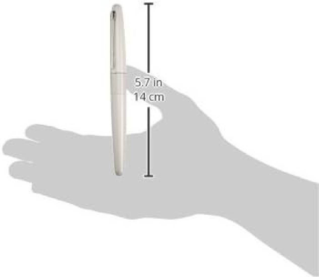 Pilot Cocoon Fountain Pen, White Body FCO-3SR-W