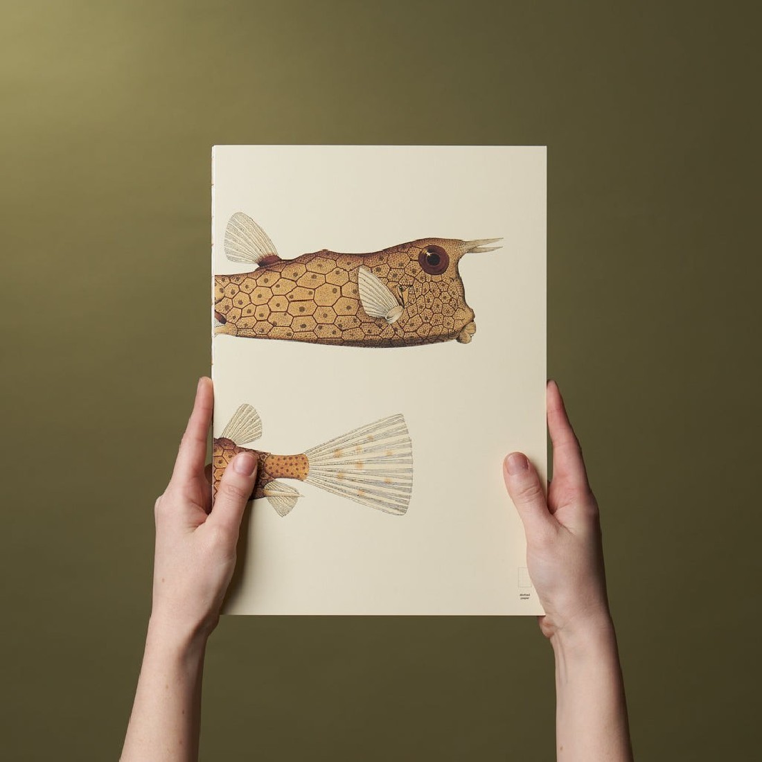 Paper Republic Reef Book Refill A4 Dotted