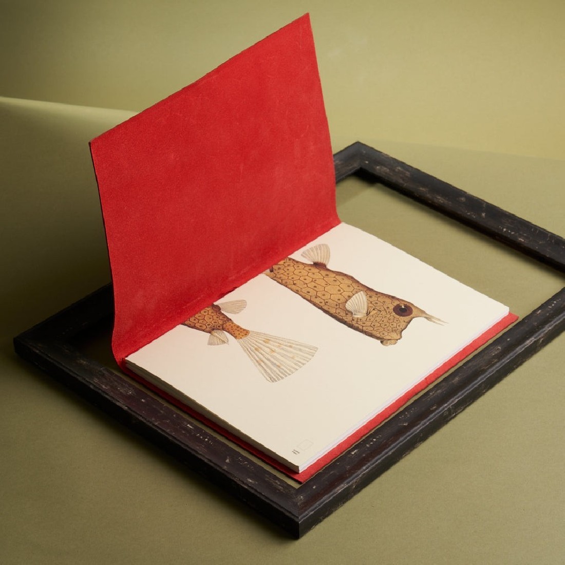 Paper Republic Reef Book Refill A4 Dotted