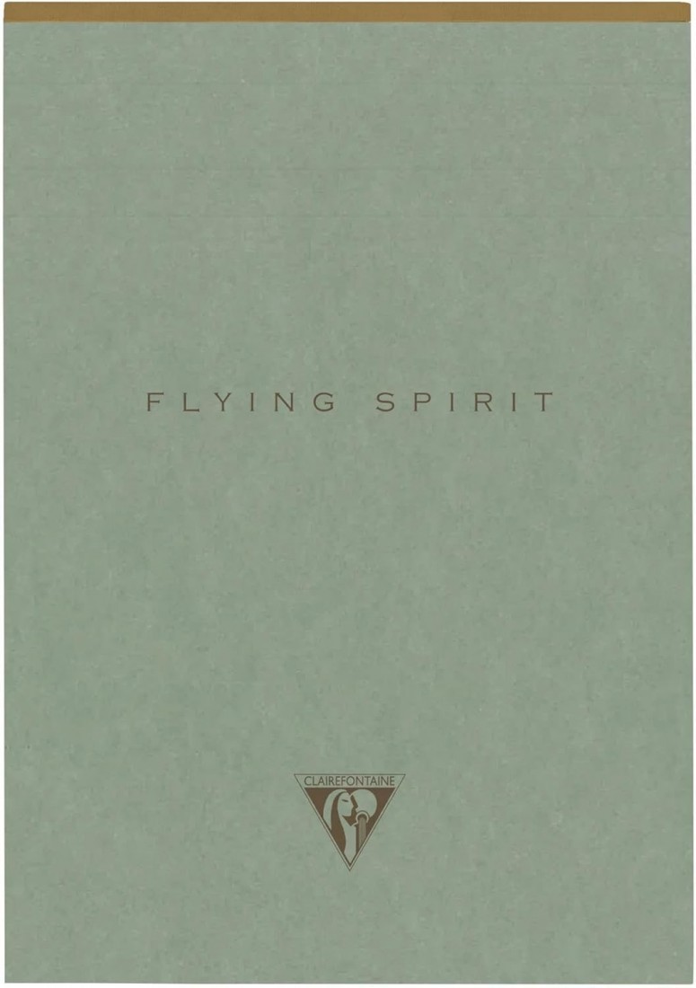 Clairefontaine - 107636C – A pad with glue head Flying Spirit A5, 14.8 x 21 cm, 140 pages, lined, removable, ivory paper, 90 g, cardboard cover, green