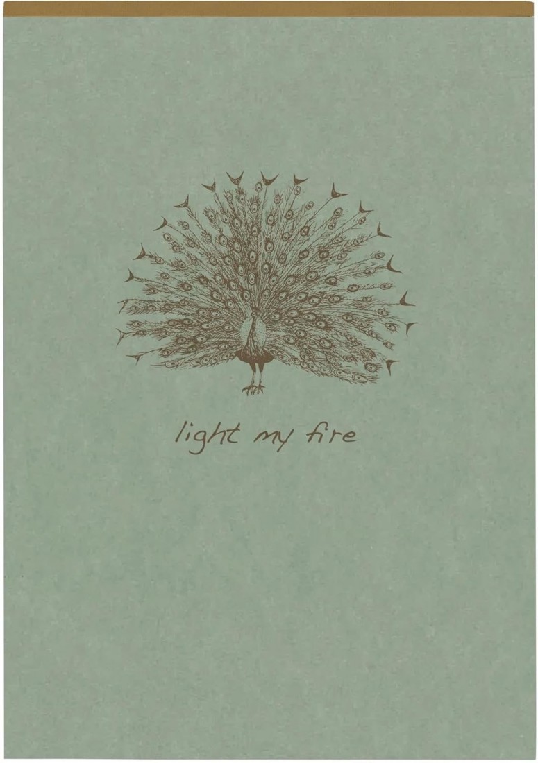 Clairefontaine - 107636C – A pad with glue head Flying Spirit A5, 14.8 x 21 cm, 140 pages, lined, removable, ivory paper, 90 g, cardboard cover, green