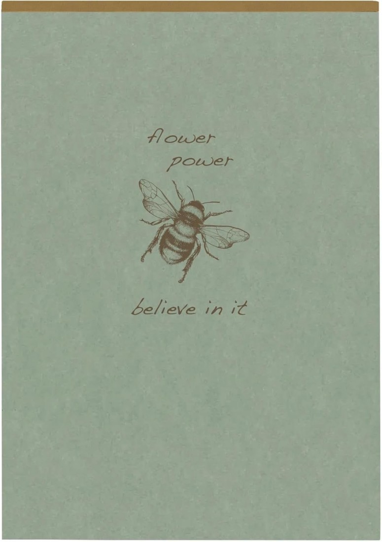 Clairefontaine - 107636C – A pad with glue head Flying Spirit A5, 14.8 x 21 cm, 140 pages, lined, removable, ivory paper, 90 g, cardboard cover, green