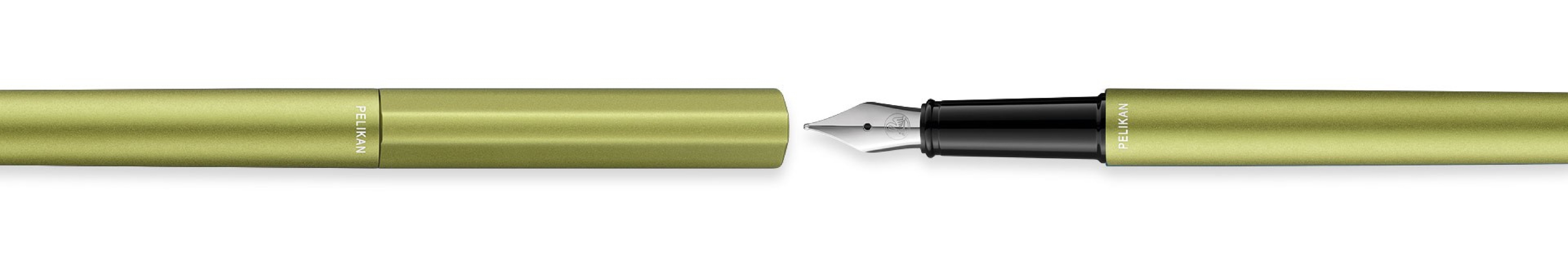 Pelikan Ineo Green Oasis fountain pen