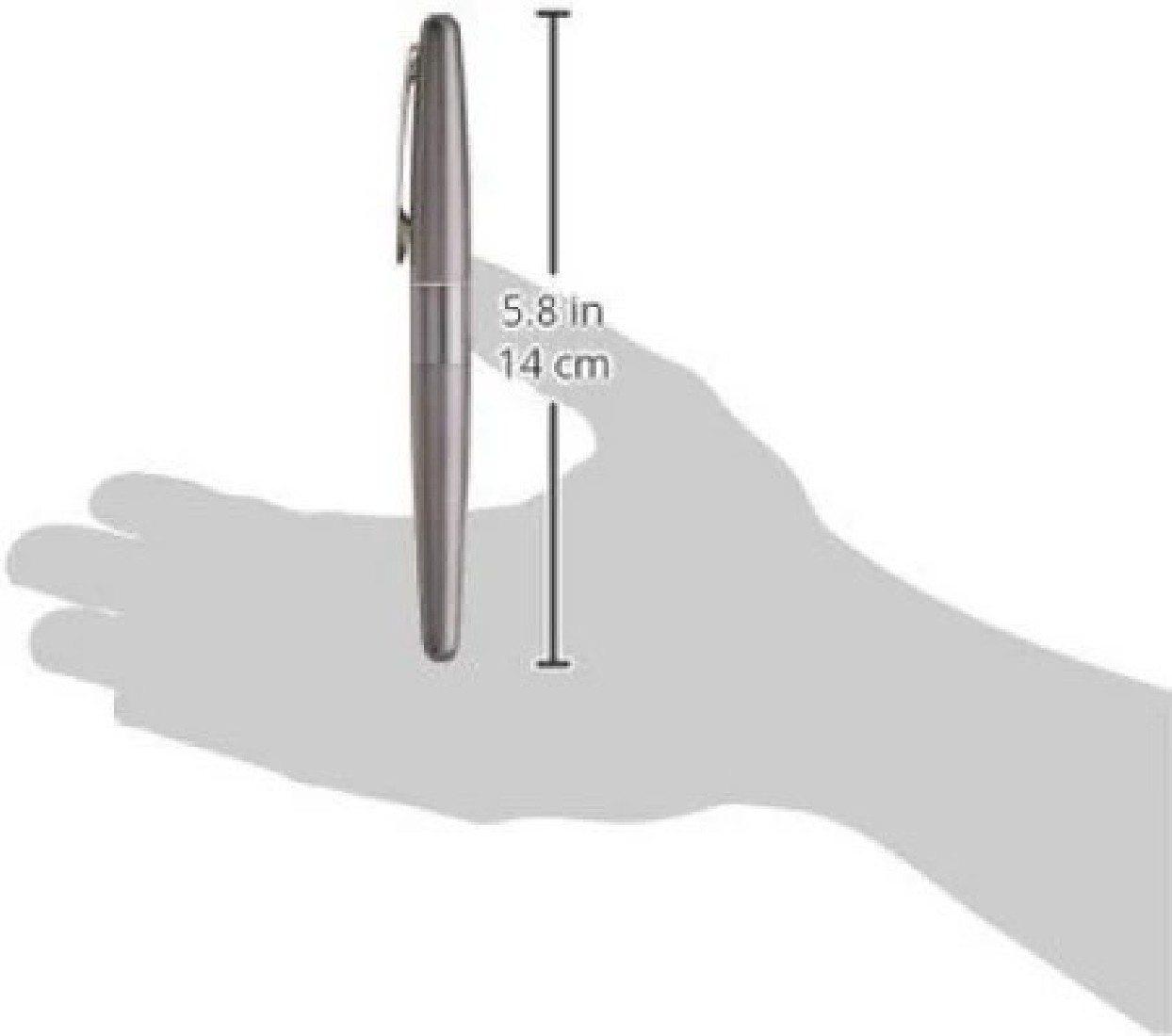 Pilot Cocoon Fountain Pen, metallic gray Body FCO-3SR-MGY