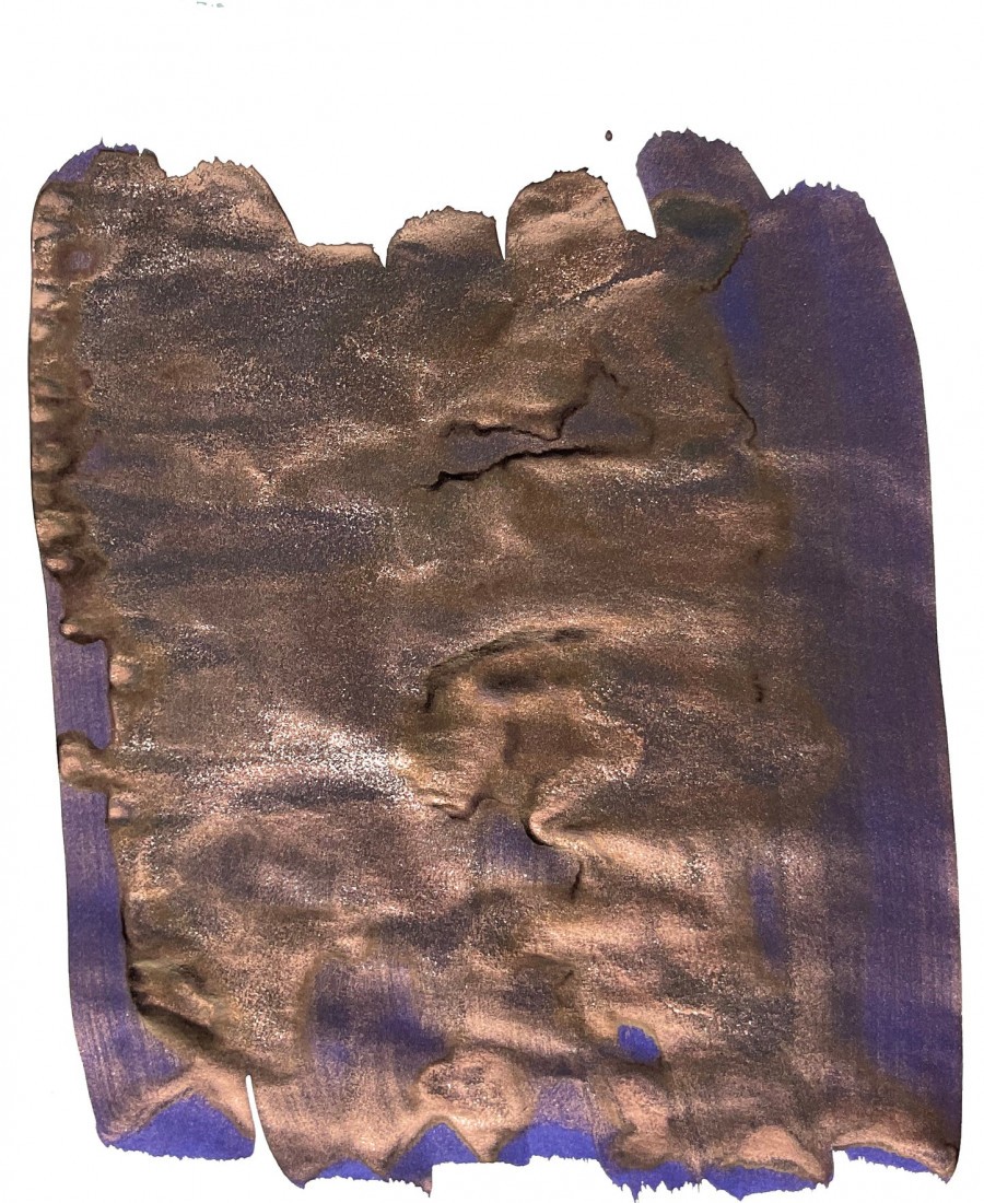 Van Diemans Birds of a Feather - Mandarin Duck Breast - Fountain Pen 30ml Ink