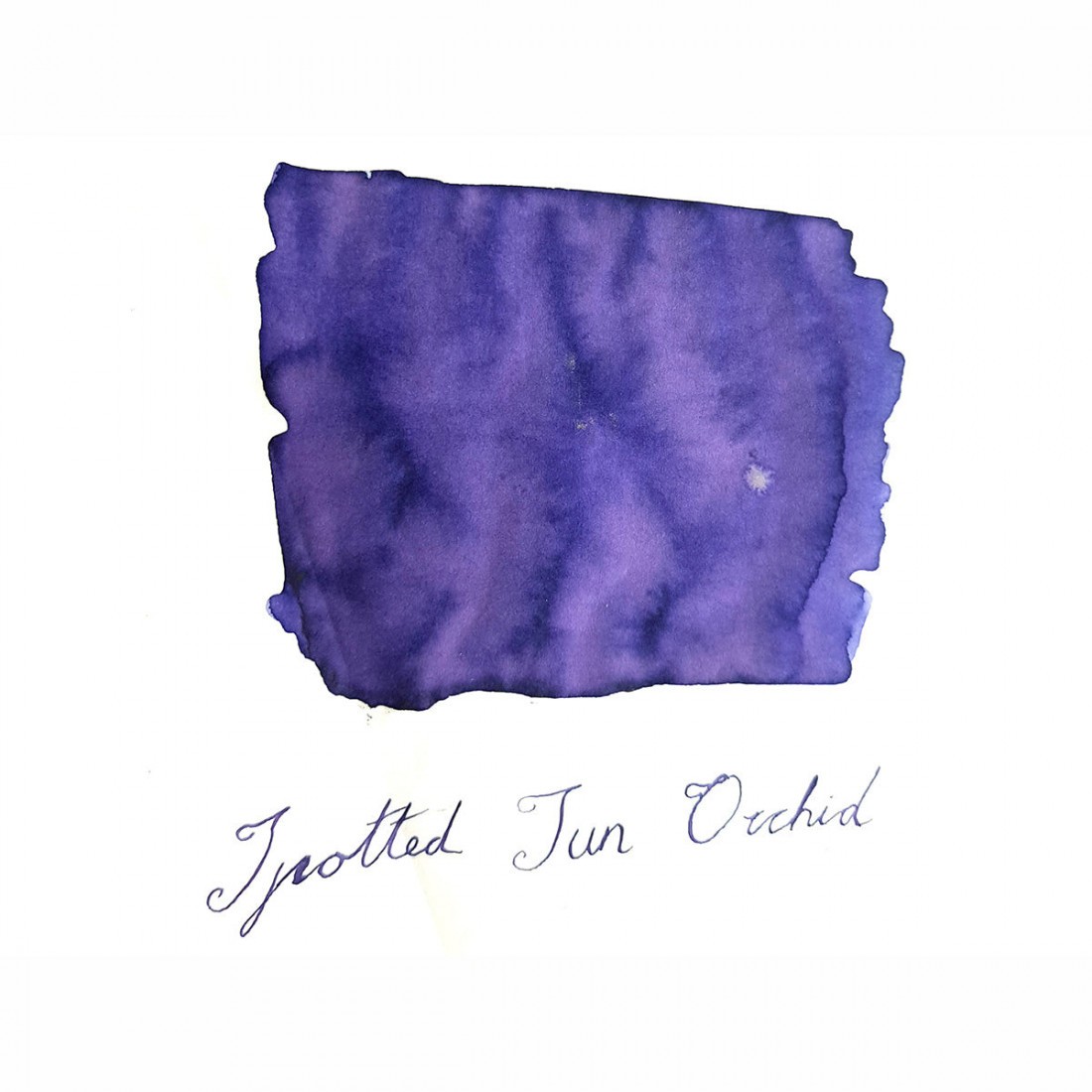 Van Diemans Wilderness - Spotted Sun Orchid - Fountain Pen 30ml Ink