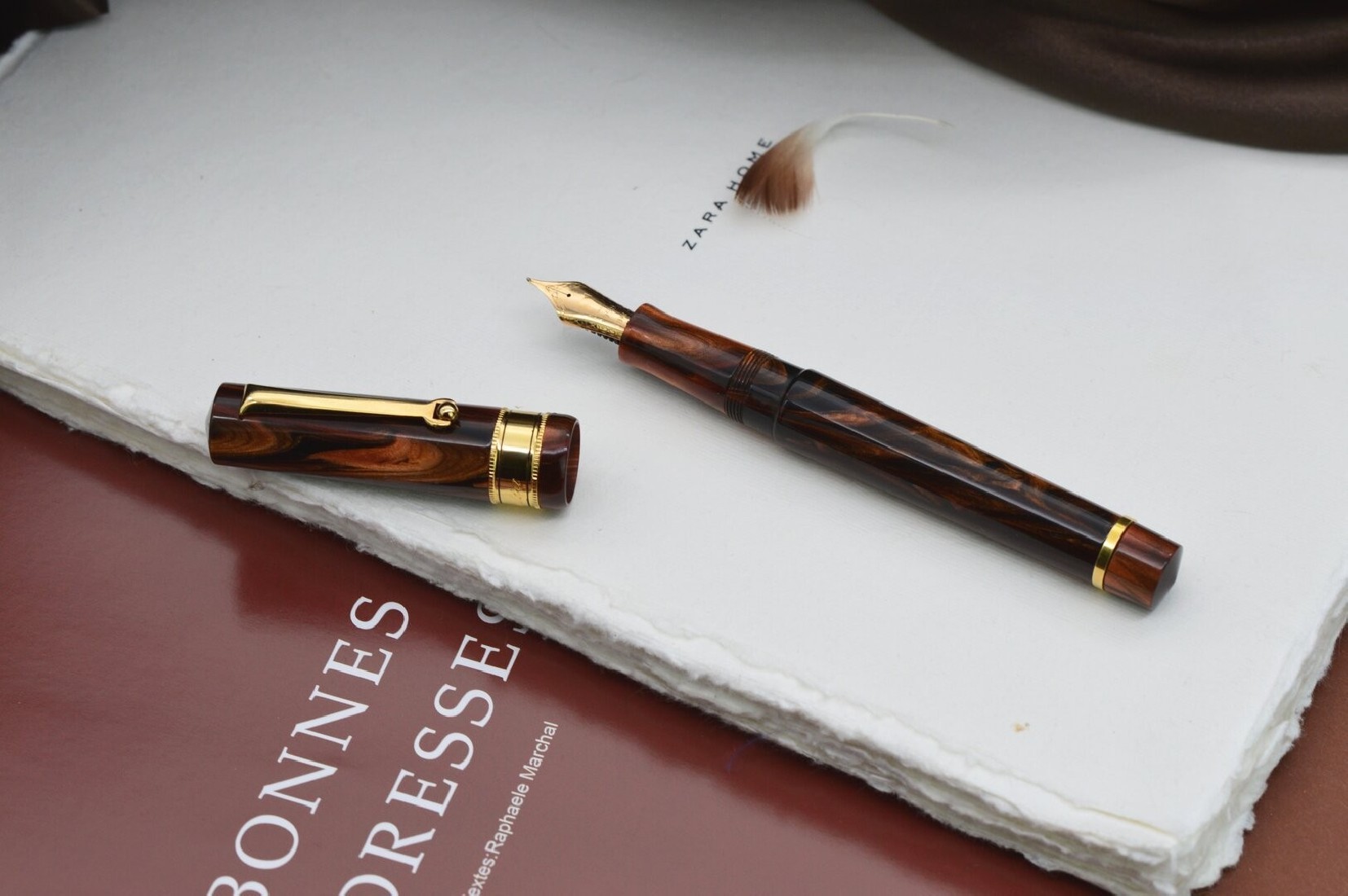 Santini Italia Libra Rosewood GP  piston filler pen with ebonite feeder superflexy nib 14k