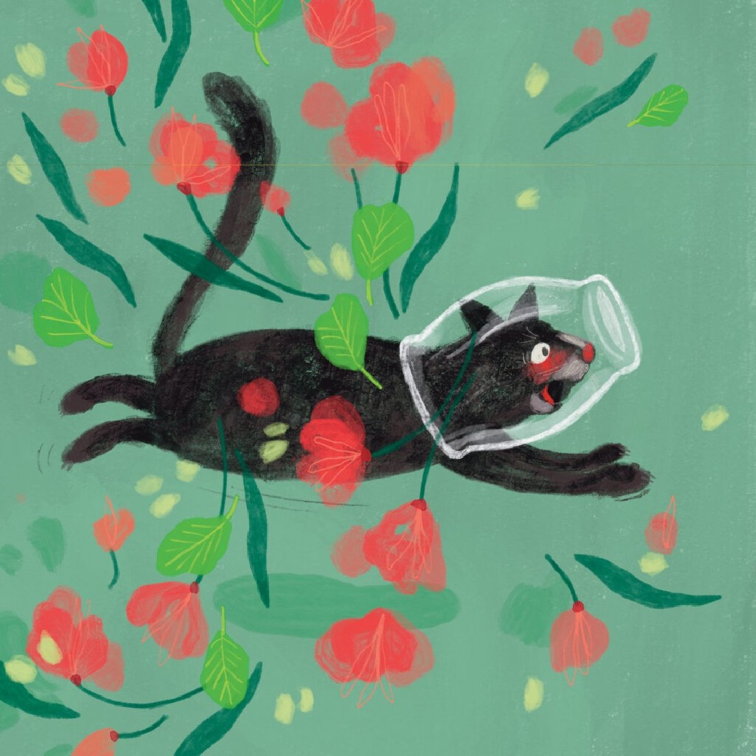 Η ποντικίνα Δώρα, η Περιέργεια και η Γάτα