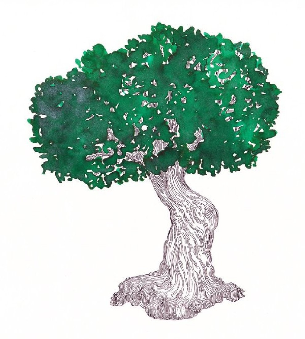 Diamine 50ml Magical Forest Fountain pen shimmer ink bottle