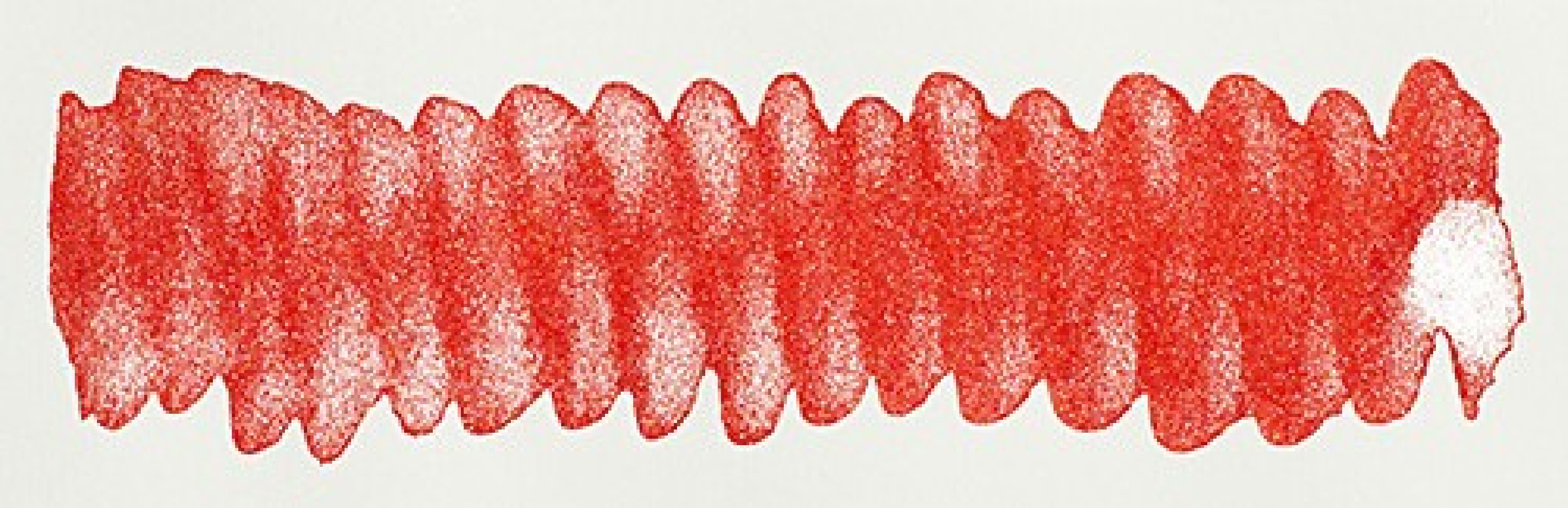 Diamine 50ml Firestorm red Fountain pen shimmer ink bottle