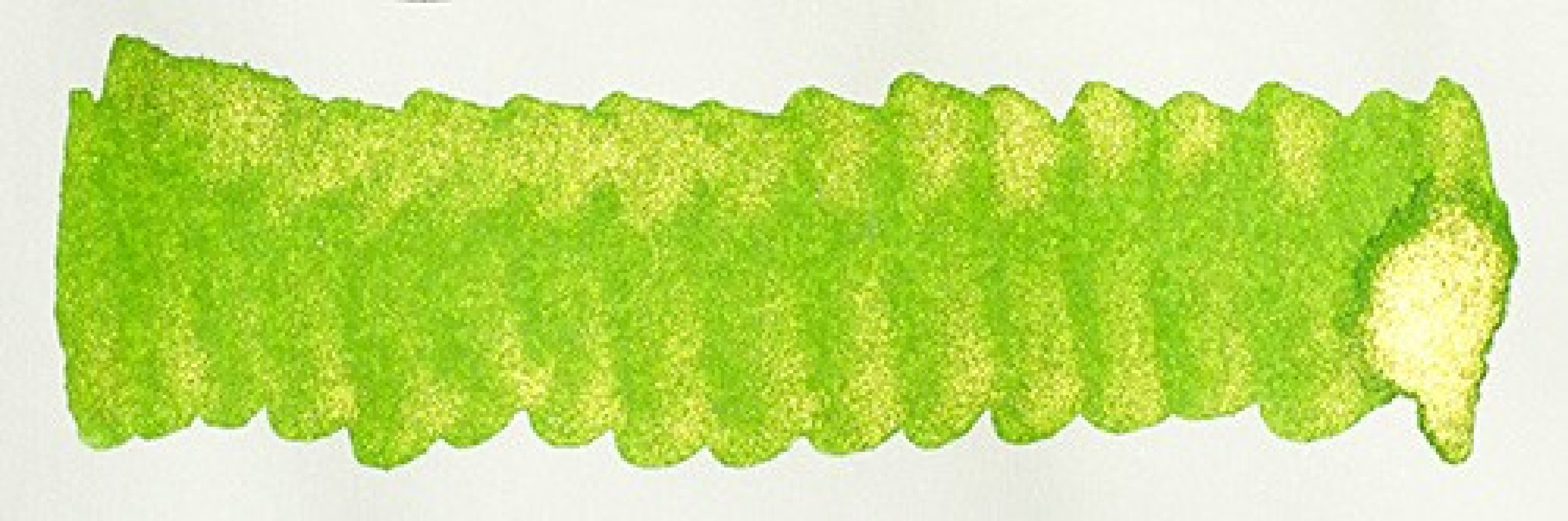 Diamine 50ml Golden Oasis Fountain pen shimmer ink bottle