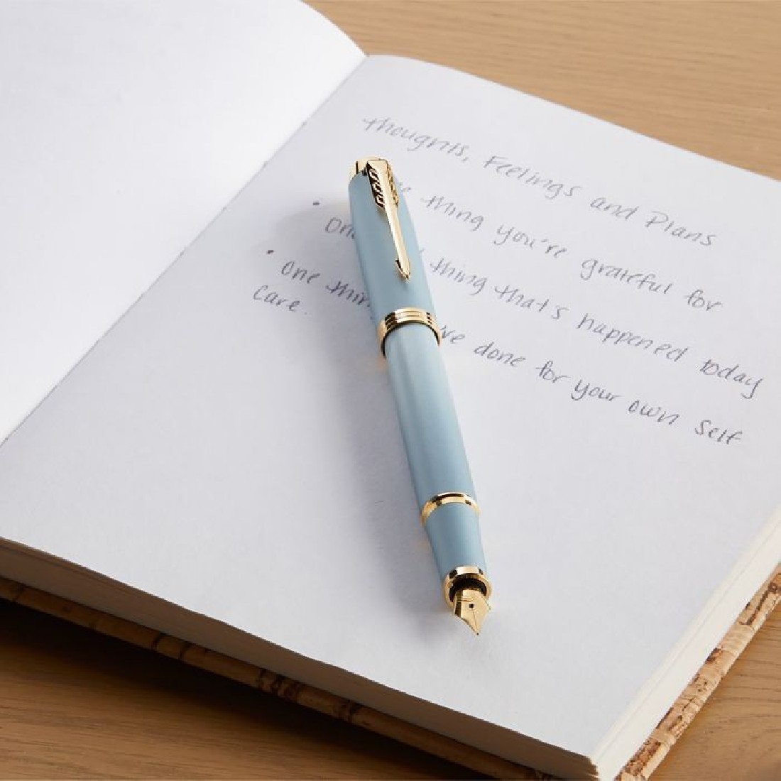Parker IM Rituals Turquoise Green Fountain Pen